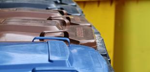 Сортировка мусора становится все более популярной: сколько это стоит