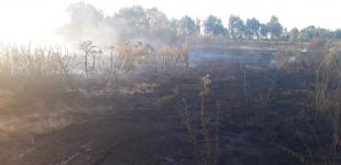 В Черкасской области вспыхнул масштабный пожар на торфяниках 