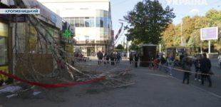 В центре Кропивницкого на женщину рухнуло дерево