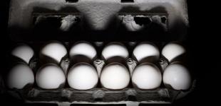 В Україні можуть зрости ціни на яйця та курятину: причина