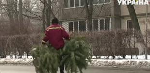 В Киеве работают 15 пунктов приема новогодних елок: когда они открыты