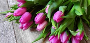 8 Марта близко: во сколько обойдется букет и как выбрать действительно свежие цветы