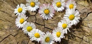 Жара перевалит за +34 в тени. В воскресенье в Украине ожидается африканский зной