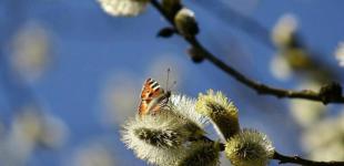 В Украине будет холодно и дождливо