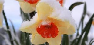 В Украину идет ледяной атмосферный фронт. Синоптик дала прогноз и озвучила даты