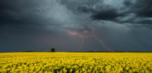 Украину накроет дождями и грозами: кому с погодой на День Независимости не повезет