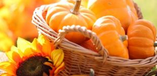 ТОП-10 причин любить тыкву