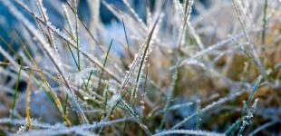 З понеділка в Україну прорветься хвиля арктичного холоду 