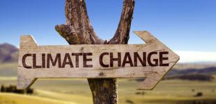 В Японии зафиксировали рекордно низкие выбросы парниковых газов