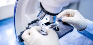 Увидеть невидимое: ученые создали квантовый микроскоп