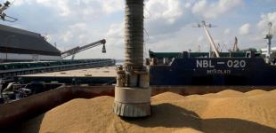 НБУ снизил прогноз урожая зерновых до 67 миллионов ​​тонн