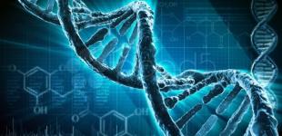 Прорыв в науке: геном человека полностью расшифровали