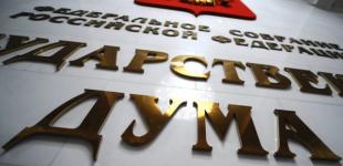 Госдума РФ запретила баллотироваться осужденным за участие в митингах