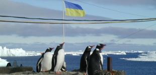 На станції «Академік Вернадський» зафіксували рекордні +12,7°