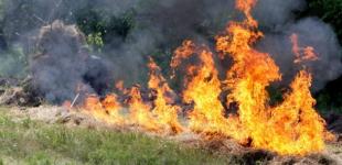 В Украине на выходные объявили чрезвычайную пожарную опасность