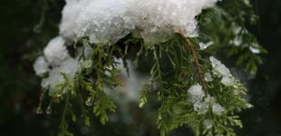 Україні прогнозують плюсову температуру, подекуди мокрий сніг