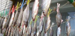 C начала года ботулизмом заболели 80 украинцев, 7 умерли