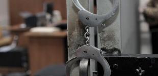 Мужчине, застрелившему собаку на глазах у детей, грозит до 8 лет