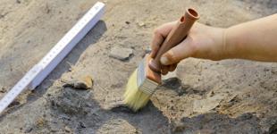 У Китаї знайшли шліфовану пластину зі слонової кістки, якій 100 тисяч років