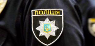 Полиция открыла дело против участника «марша вышиванок» за нацистское приветствие