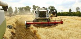 Україна зібрала рекордний урожай ранніх зернових
