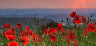 Синоптик рассказала, какой погоды ждать летом 2022 в Украине