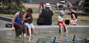 Київ торік побив 25 температурних рекордів