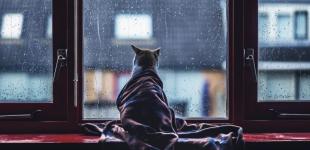 В Україні 12 квітня дощитиме, вночі до 1° морозу, вдень до 13° тепла