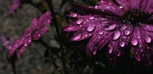 Синоптики предупреждают о грозах в западных областях