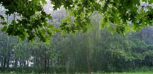 По всей Украине грозы с градом - кроме одного региона