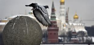 Кремль готує нову брехню, аби приховати звірства російських військових в Україні - МЗС Британії