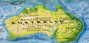 В Австралии хотят истребить 2 миллиона диких кошек