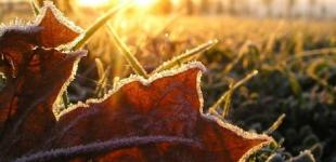 Синоптики прогнозують заморозки у повітрі