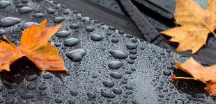 В Украину пришла осенняя непогода: где дождей пройдет больше всего