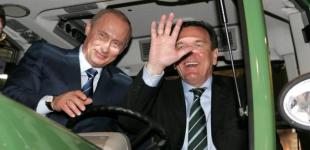 «Хто служить Путіну, шкодить країні»: німці закликали Шредера відмовитись від державних благ