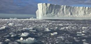 От Антарктиды откололся крупнейший за последние 50 лет айсберг