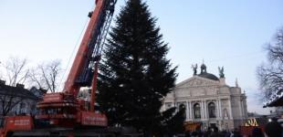 Львову подарили 20-метровую елку