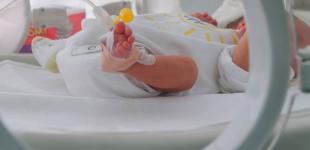 С 1 сентября заработает механизм монетизации 