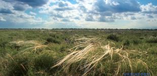 За 10 лет климатические зоны в Украине сдвинутся с юга на север на 150-200 километров - экологи