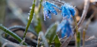 В Украине прогнозируют резкое похолодание - надвигается арктический воздух