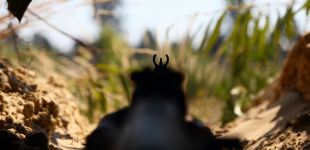 Окупанти тримають на передовій значну кількість снайперських пар - розвідка