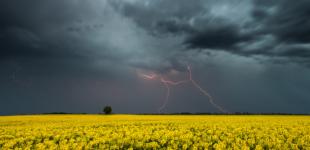 Синоптики предупреждают о грозах, граде и шквалах
