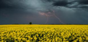 Грозы, шквалы и жара: чего ожидать на следующей неделе