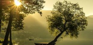 В Украине +36°: в каких областях пройдут спасительные дожди