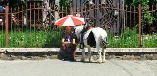 В Украину идет большая жара - дожди обещают только с 12 июля