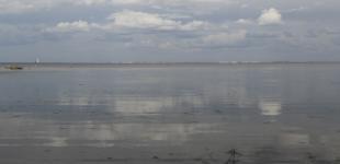 РосСМИ пишут, что Путин 