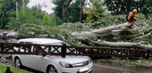 Ураган валил деревья и срывал крыши на Николаевщине