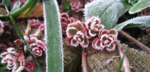 Украинцев предупреждают о сильных порывах ветра и заморозках