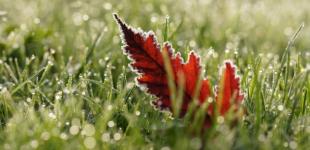 «Зима близко»: в Киеве закончился безморозный период