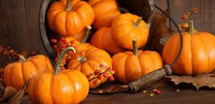 Под Винницей будут угощать тыквенными блюдами из помпейской печи